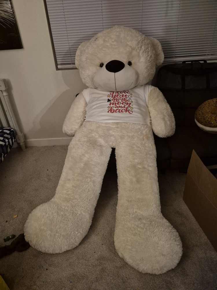 Giant Teddy