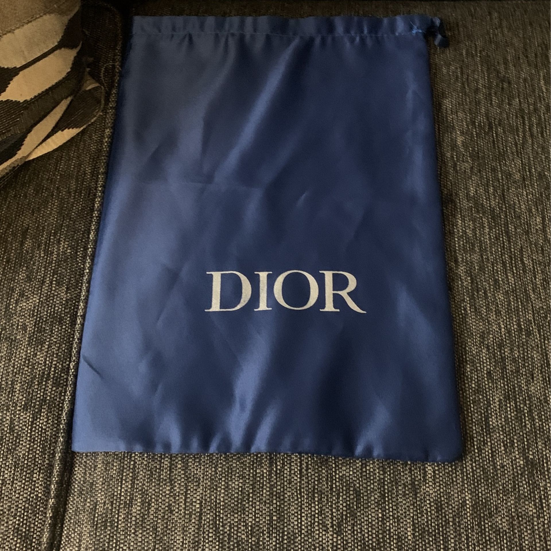 Dior Shoe Bag