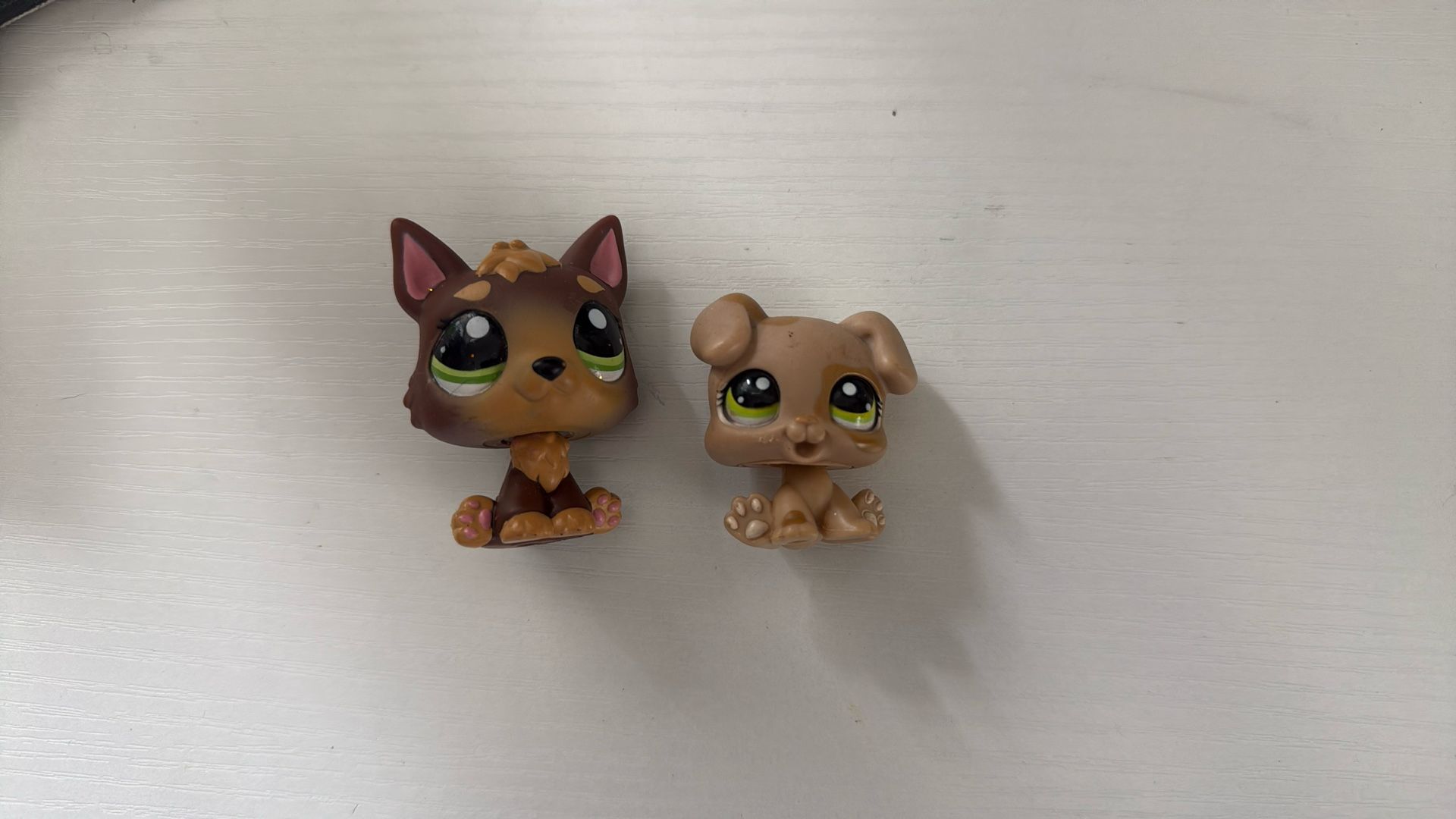 Sold Dog -dnp