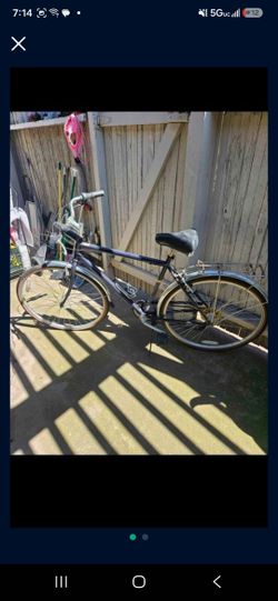 Schwinn Wafer Bicycle