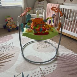 Fisher price Baby Bouncer- Like New!!