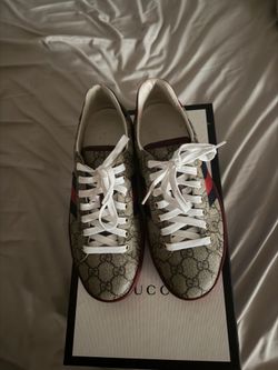Gucci aces