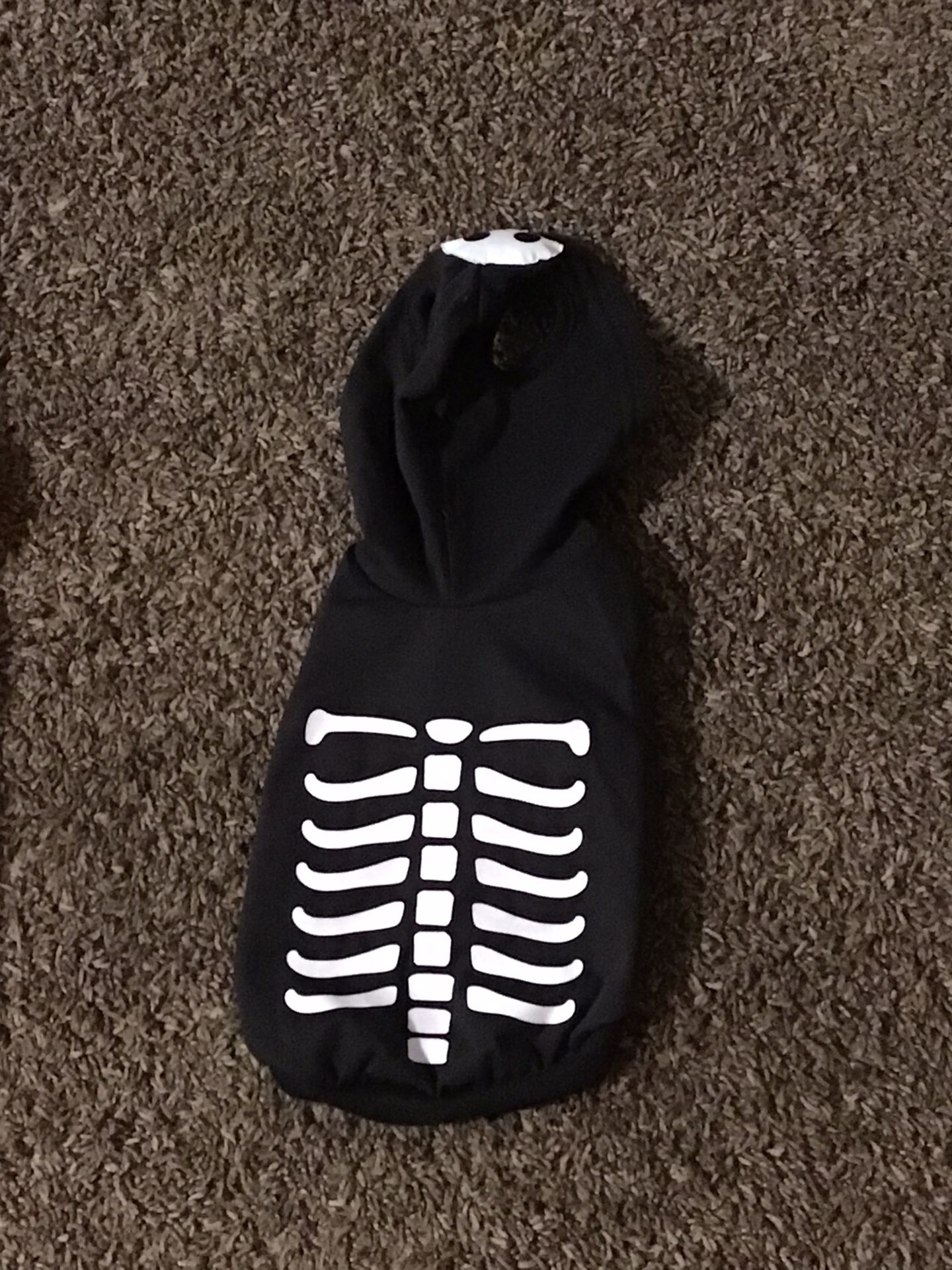 Small Dog Black Sweatshirt