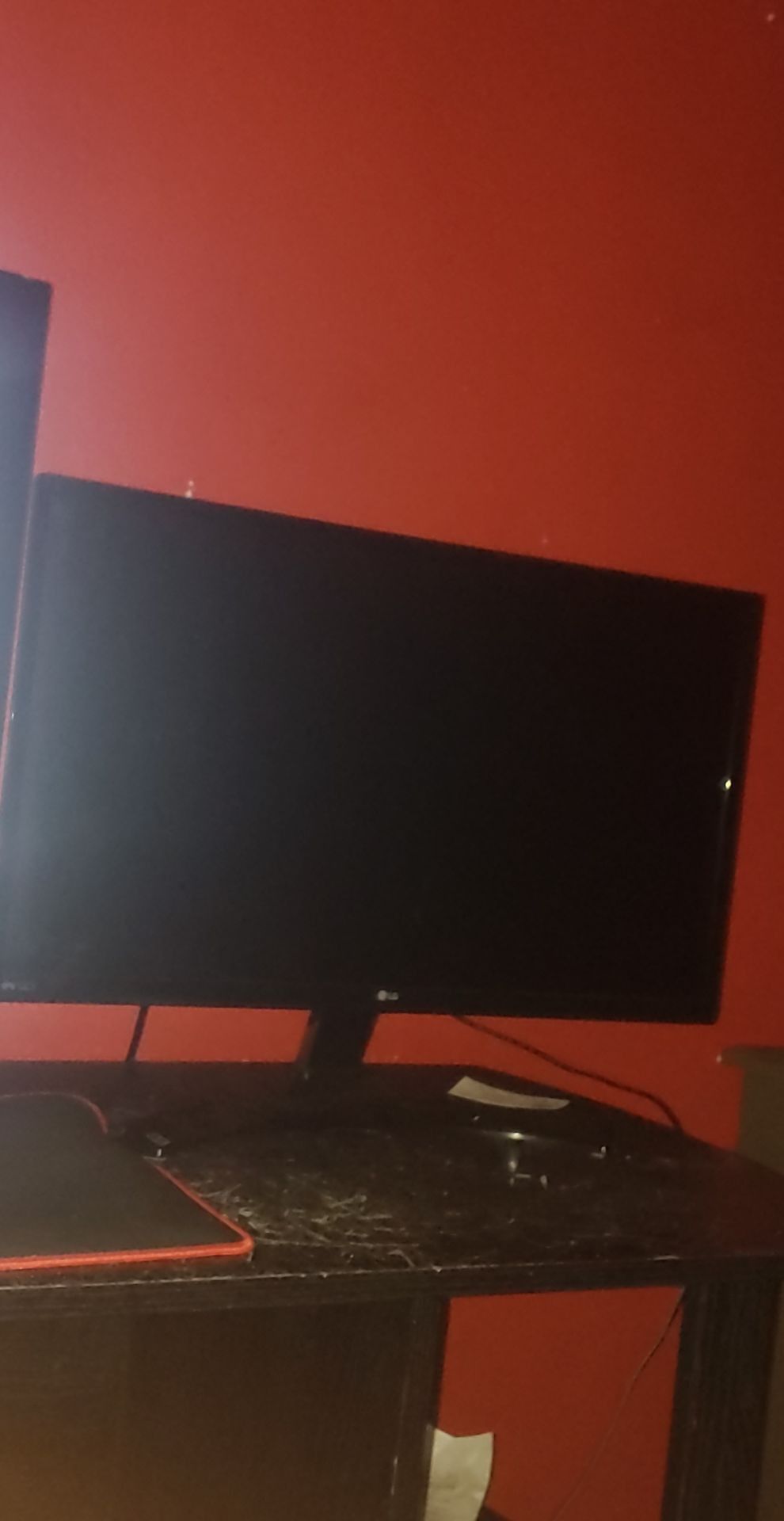 24in LG Monitor