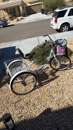 Mongol Adult Tricycle with Baskets