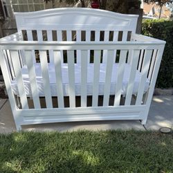Crib & Toddler Bed - All In One 