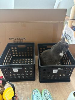 Storage crates (2)