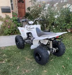 2005 Raptor 80