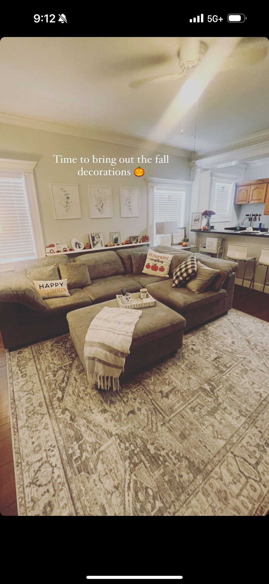 Grey Sectional Couch