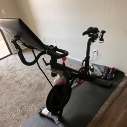 Peloton 