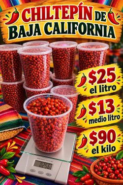 Chiltepin de Baja California