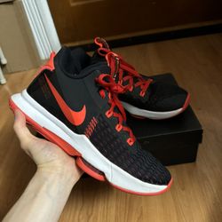 Size 9.5 Lebron 5 Bred