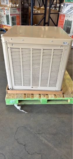 Swamp cooler champion