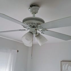 Fans × 2 take both $30