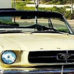 64 To 66 MUSTANG   Vintage  Hub Caps