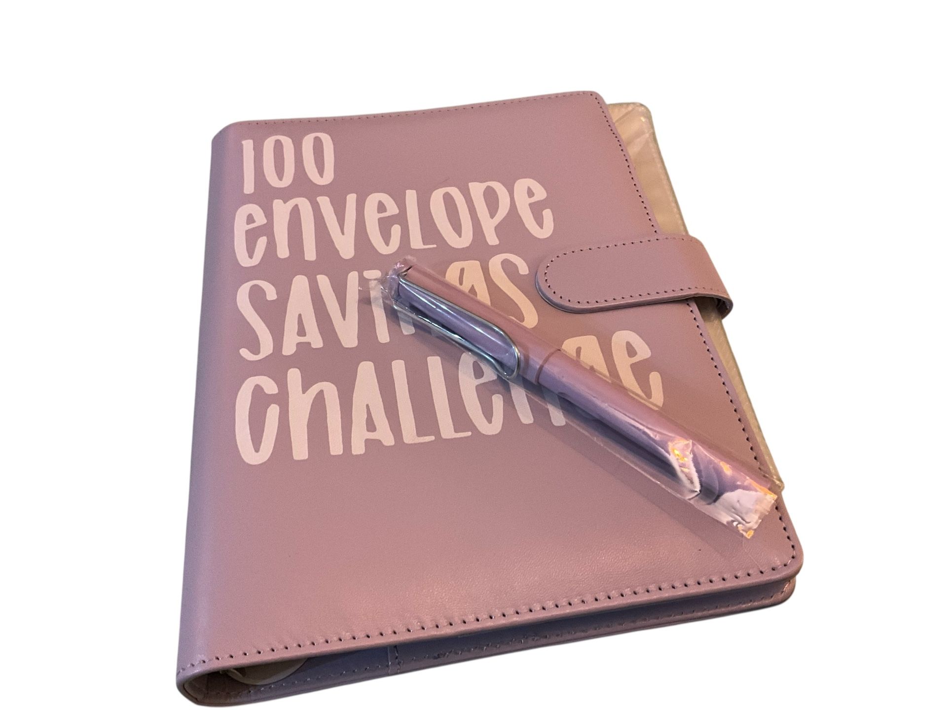 100 Envelope Savings Challenge