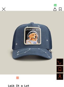 Laik It A Lot Goorin Trucker Cap Friday Drop