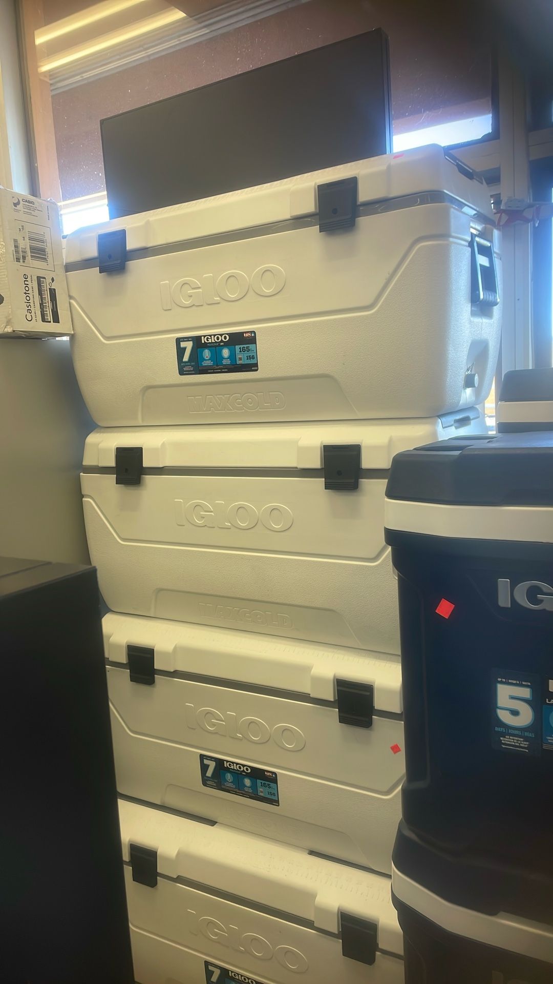 165 QT Igloo cooler