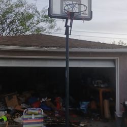 Basketball hoops