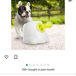 Dog Toy