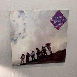 Vinyl Lynyrd Skynyrd Nuthin Fancy - NEW LP Record