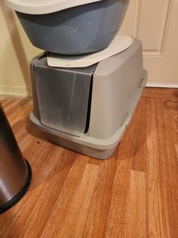 Cat Litter