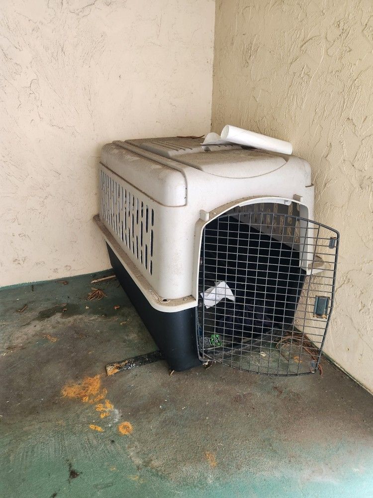 Dog Carrier Free