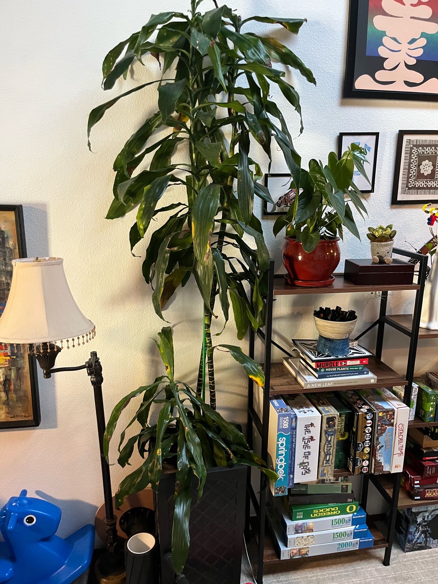 Large plant