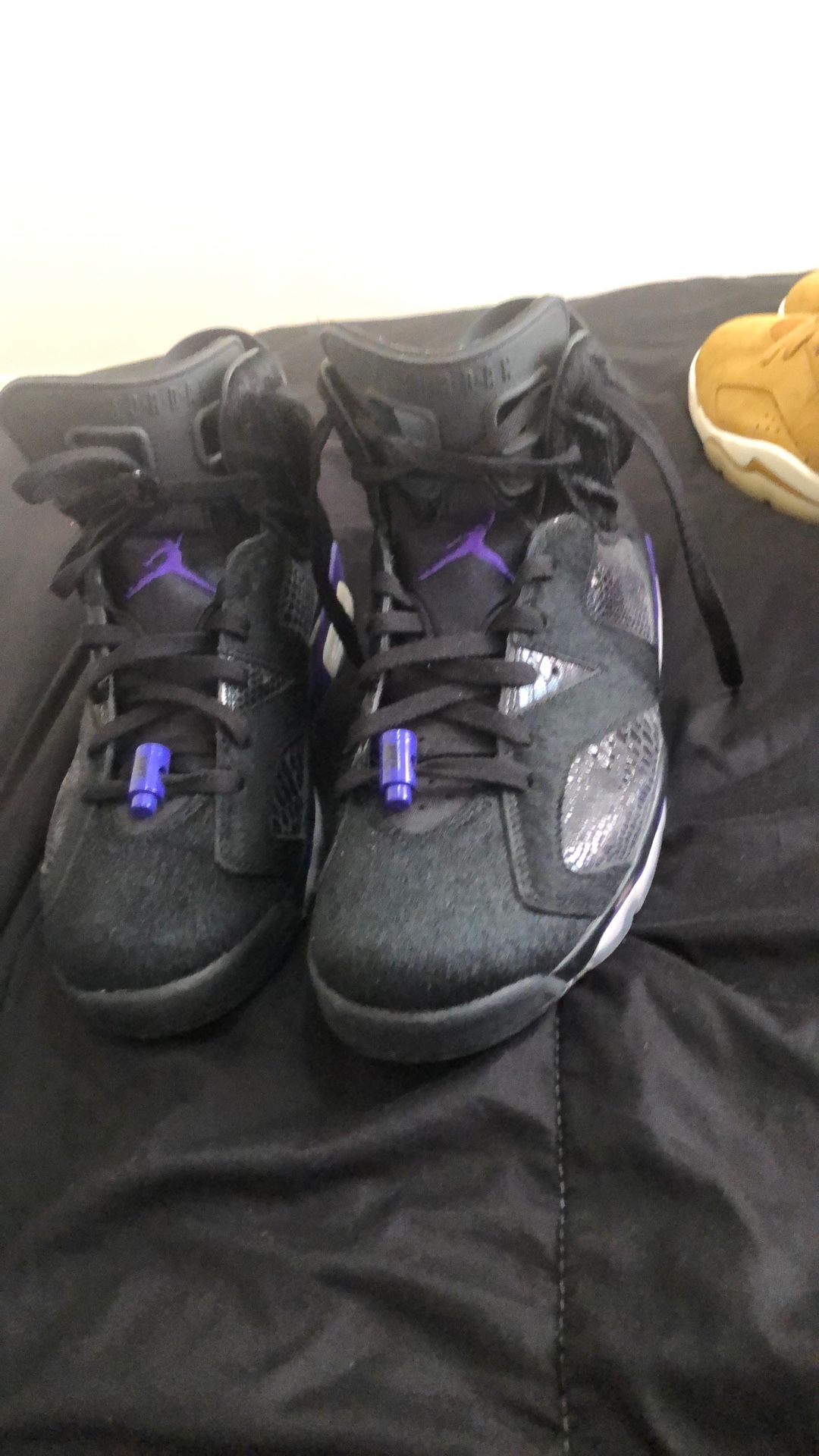 Social Status X Jordan 6 Retro (pony hair)