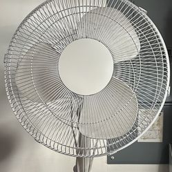 Standing Fan
