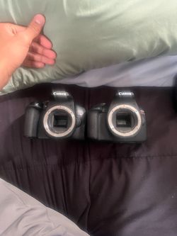 Canon camera