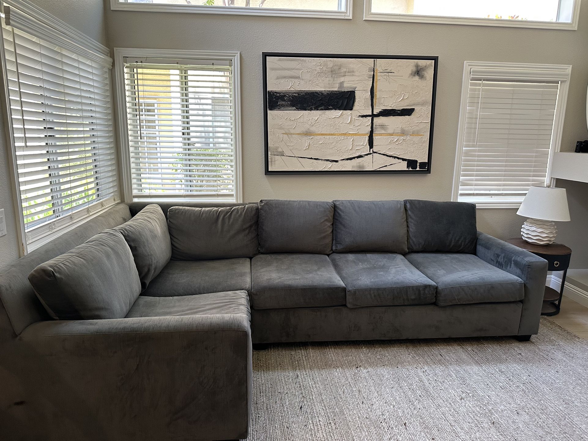 Sectional and Queen Sleeper