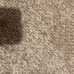 Sea Ray 260 Sundancer Snap In Carpet 