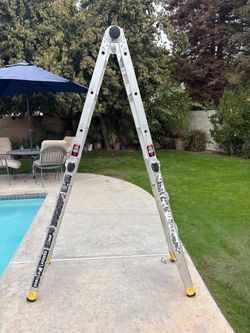 Gorilla ladder