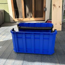 Special Cat Box For CH Kittens