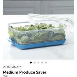 Princess House Medium Produce Saver