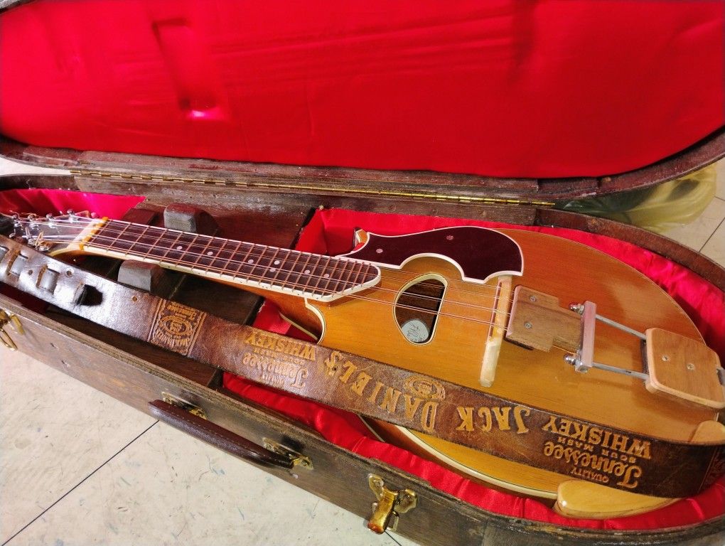 Custom Made Mandolin