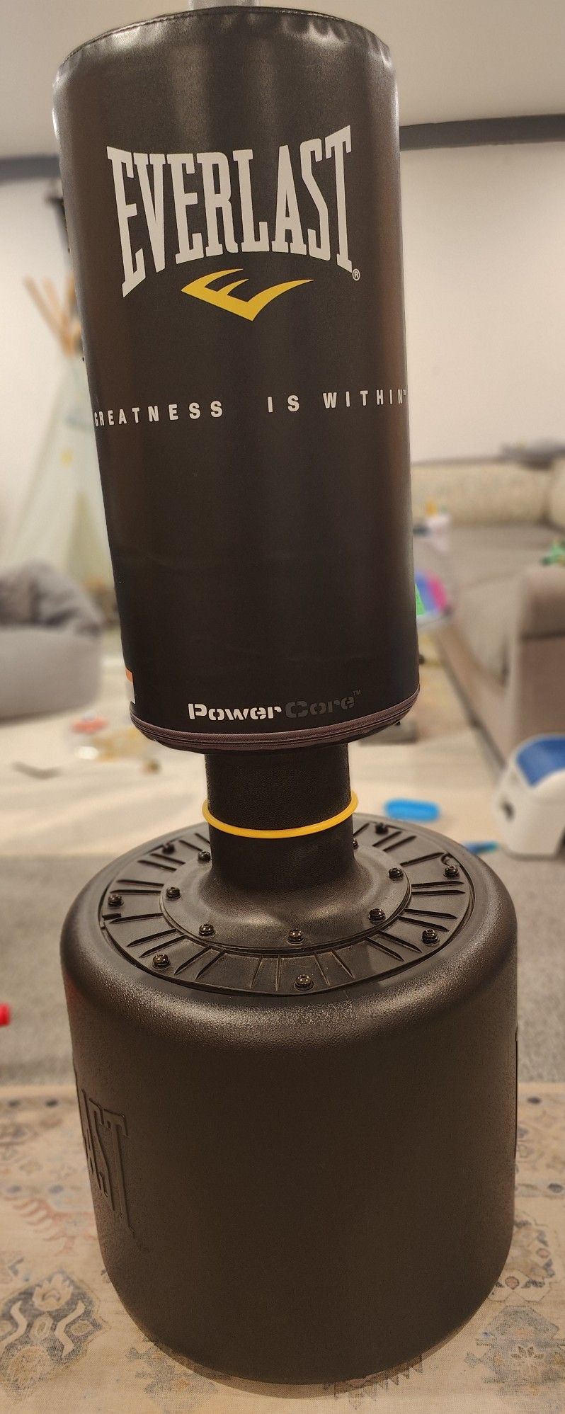 Everest Punching Bag