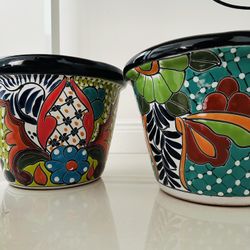 Plants Pots 
