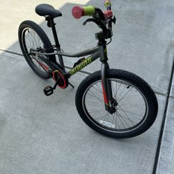 20 Inch - Specialized Childs Bike
