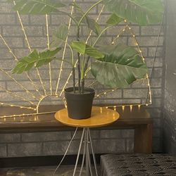 Fake Monstera Plant 