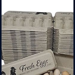 18 Count Egg Carton. Kingsport Area