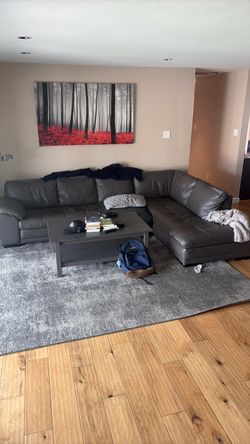 Free couch, rug, coffee table combo