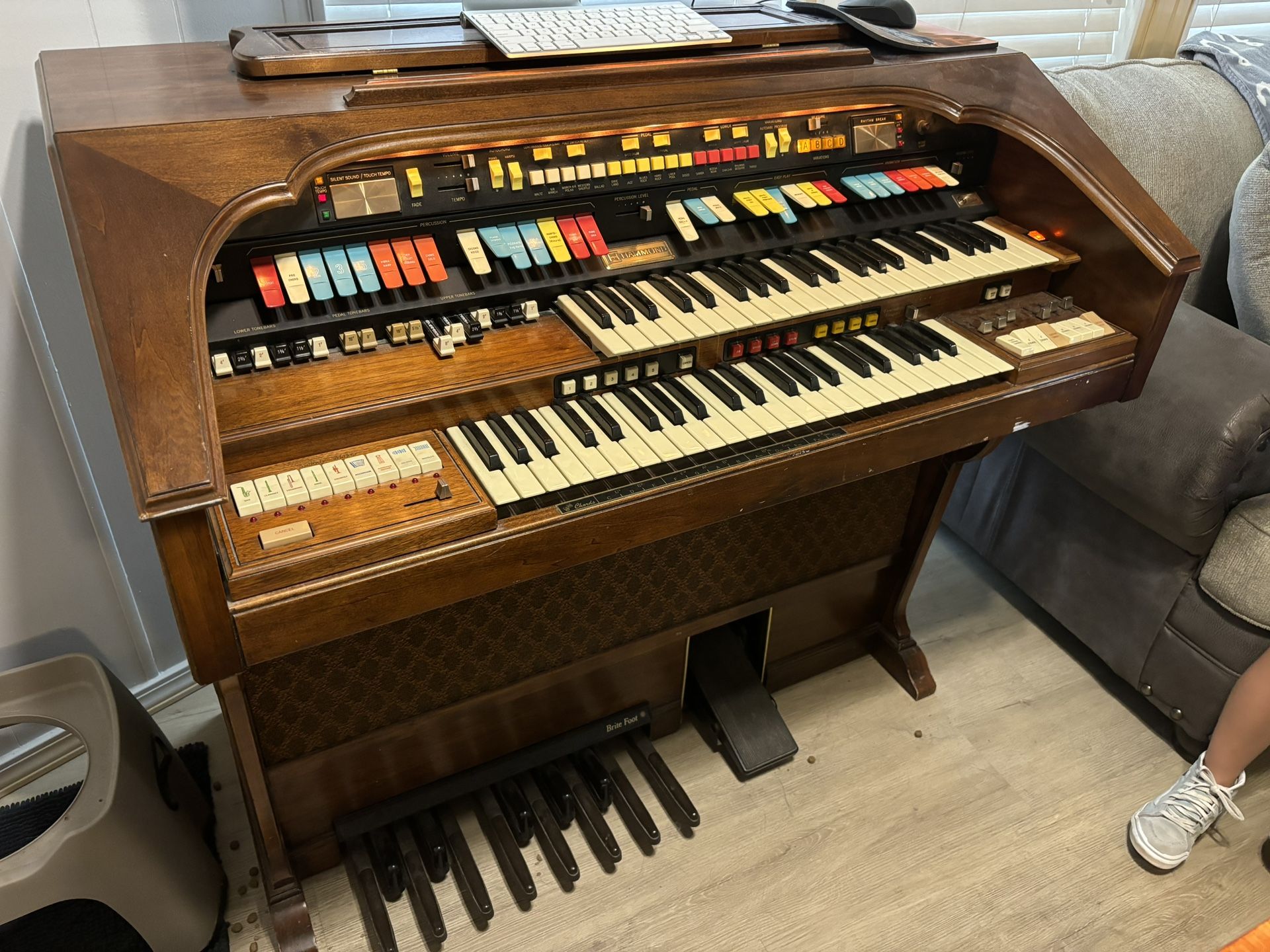 Hammond Aurora Classic Organ