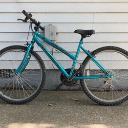 Road Master Bicycle 