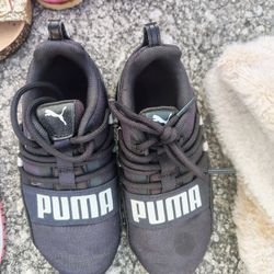 Kid Puma