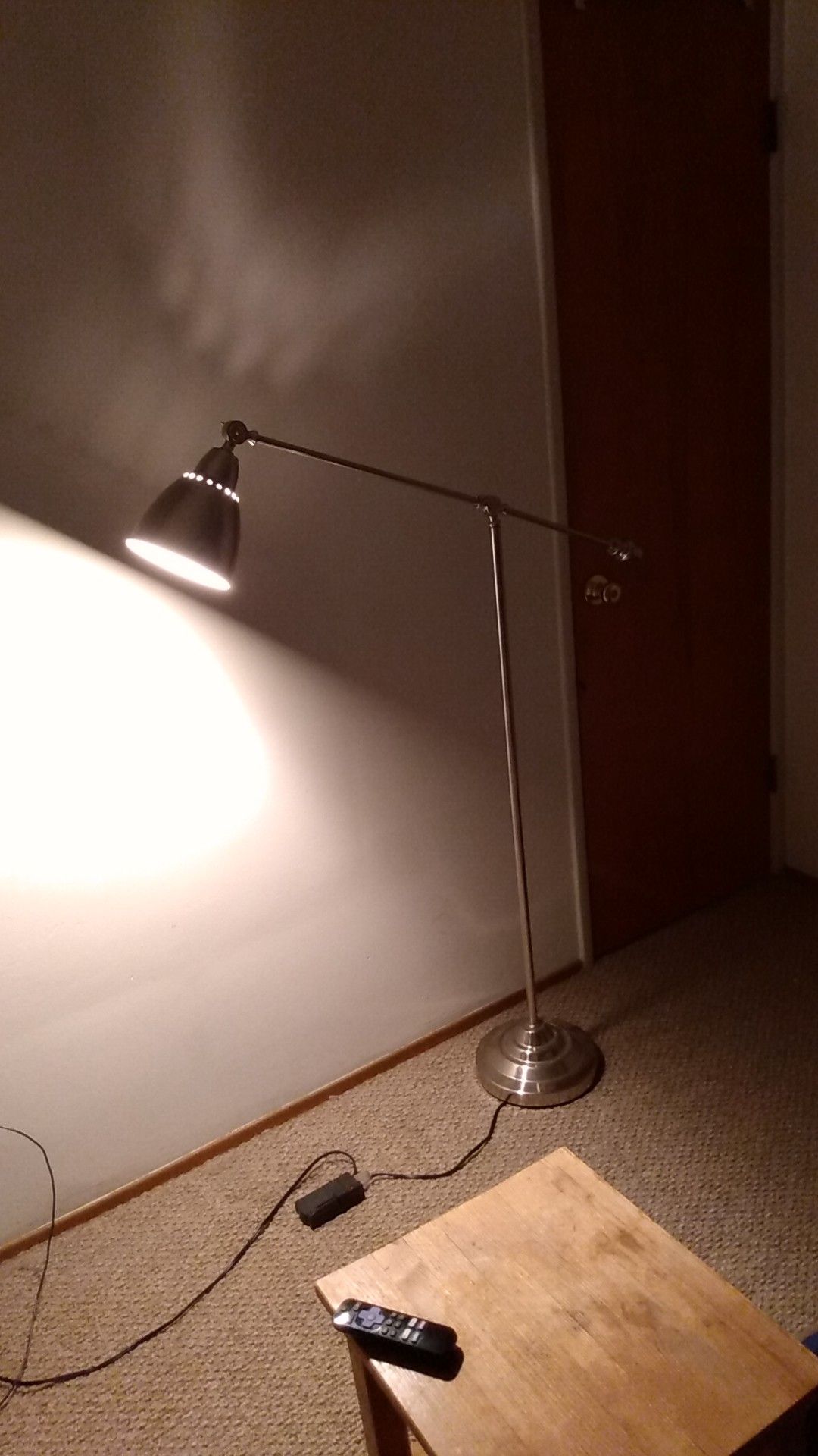 Stainless steal floor/reading lamp