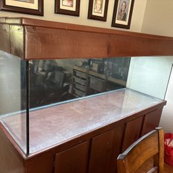 180 Gallon Fish Tank