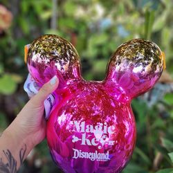 ** Exclusive Disneyland  Passholder Popcorn Bucket**