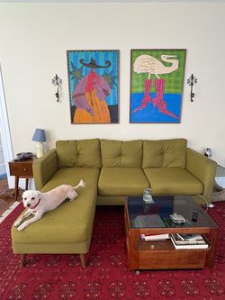 Mid century modern couch